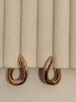 Amazing Trendy Earrings