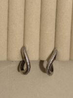 Amazing Trendy Earrings - Image 2